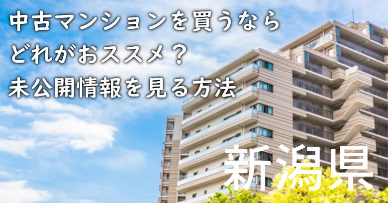 新潟県の中古マンションを買うならどれがおススメ？掘り出し物件の探し方や未公開情報を見る方法など