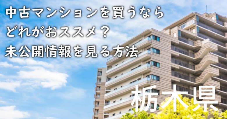 栃木県の中古マンションを買うならどれがおススメ？掘り出し物件の探し方や未公開情報を見る方法など